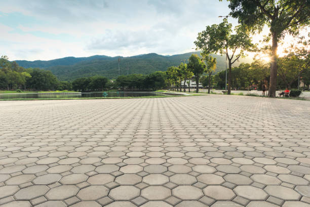Best Concrete Paver Driveway  in Tierra Verde, FL