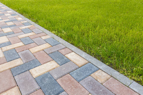 Best Driveway Paving Contractor  in Tierra Verde, FL
